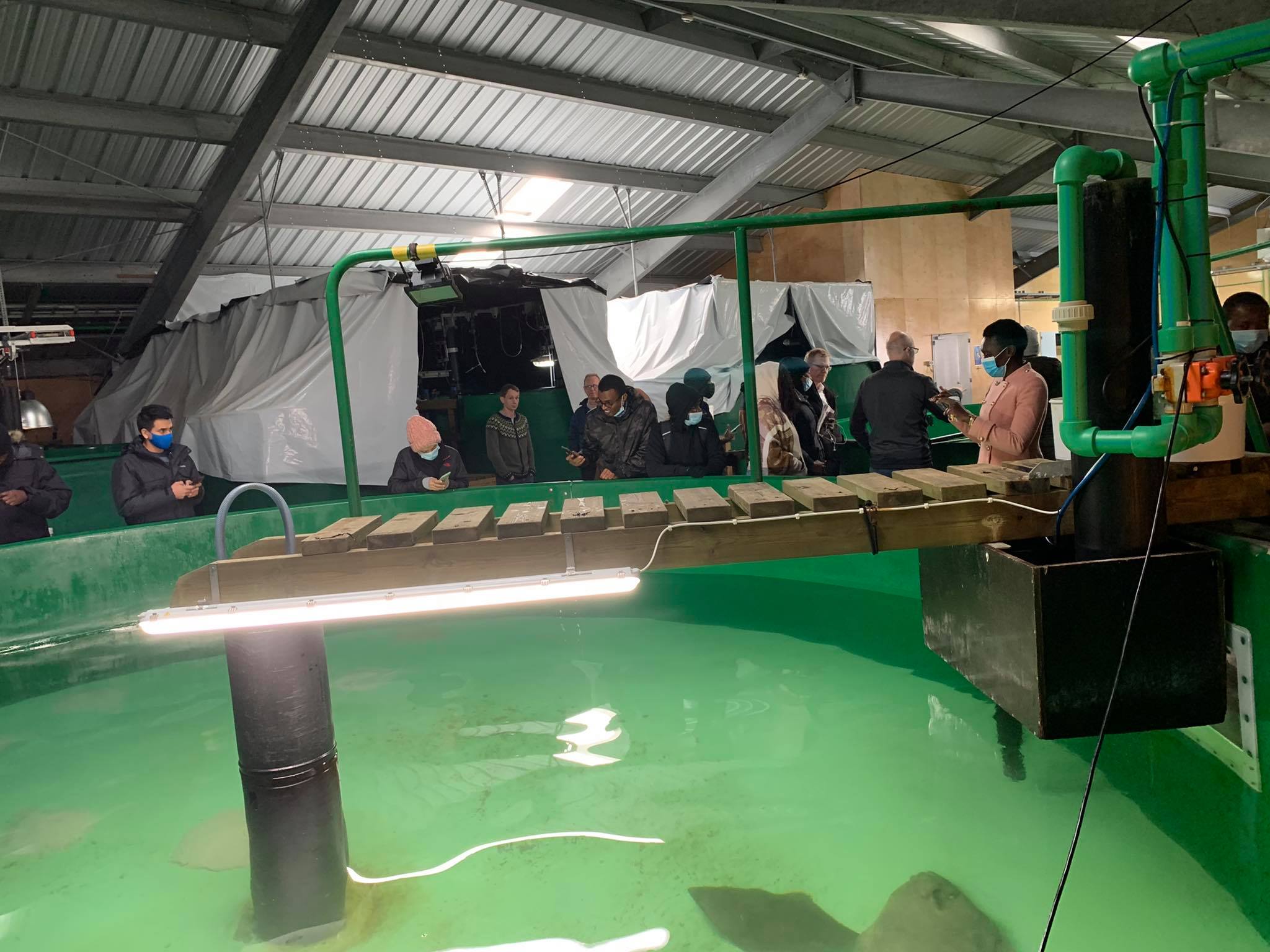 mynd af nemum í Tilraunaeldisstöð