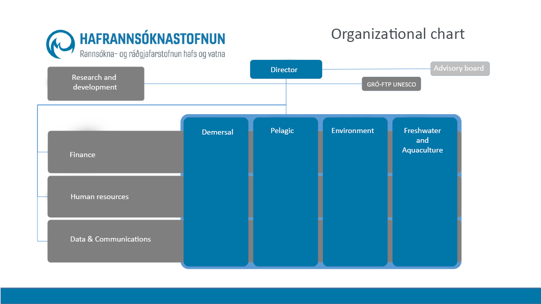 overview of organization chart