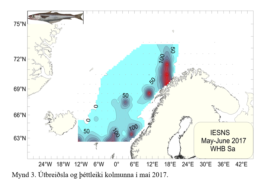 Útbreiðsla og þéttleiki kolmunna í maí 2017