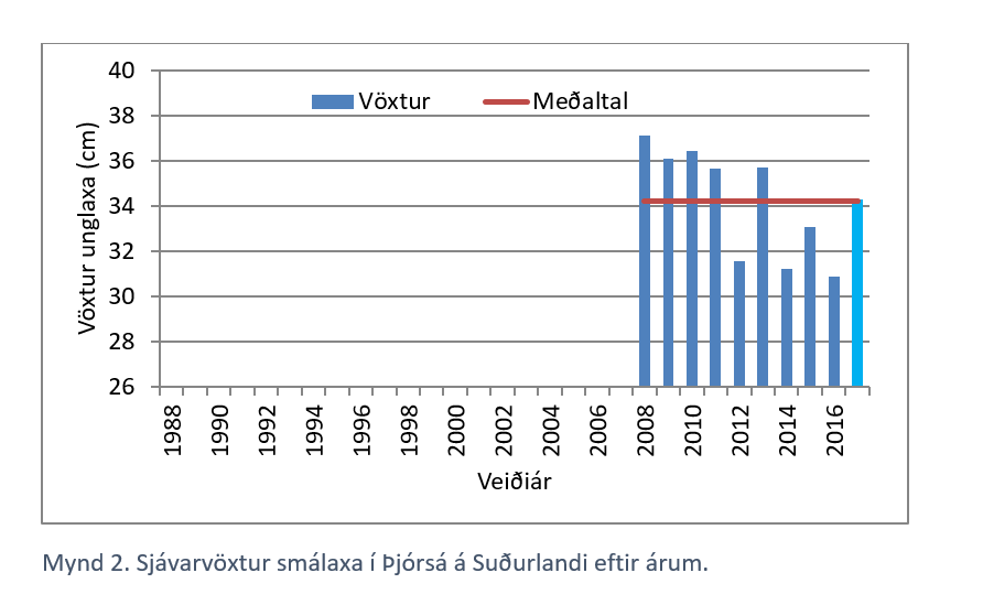 Sjávarvöxtur smálaxa í Þjórsá á Suðurlandi eftir árum