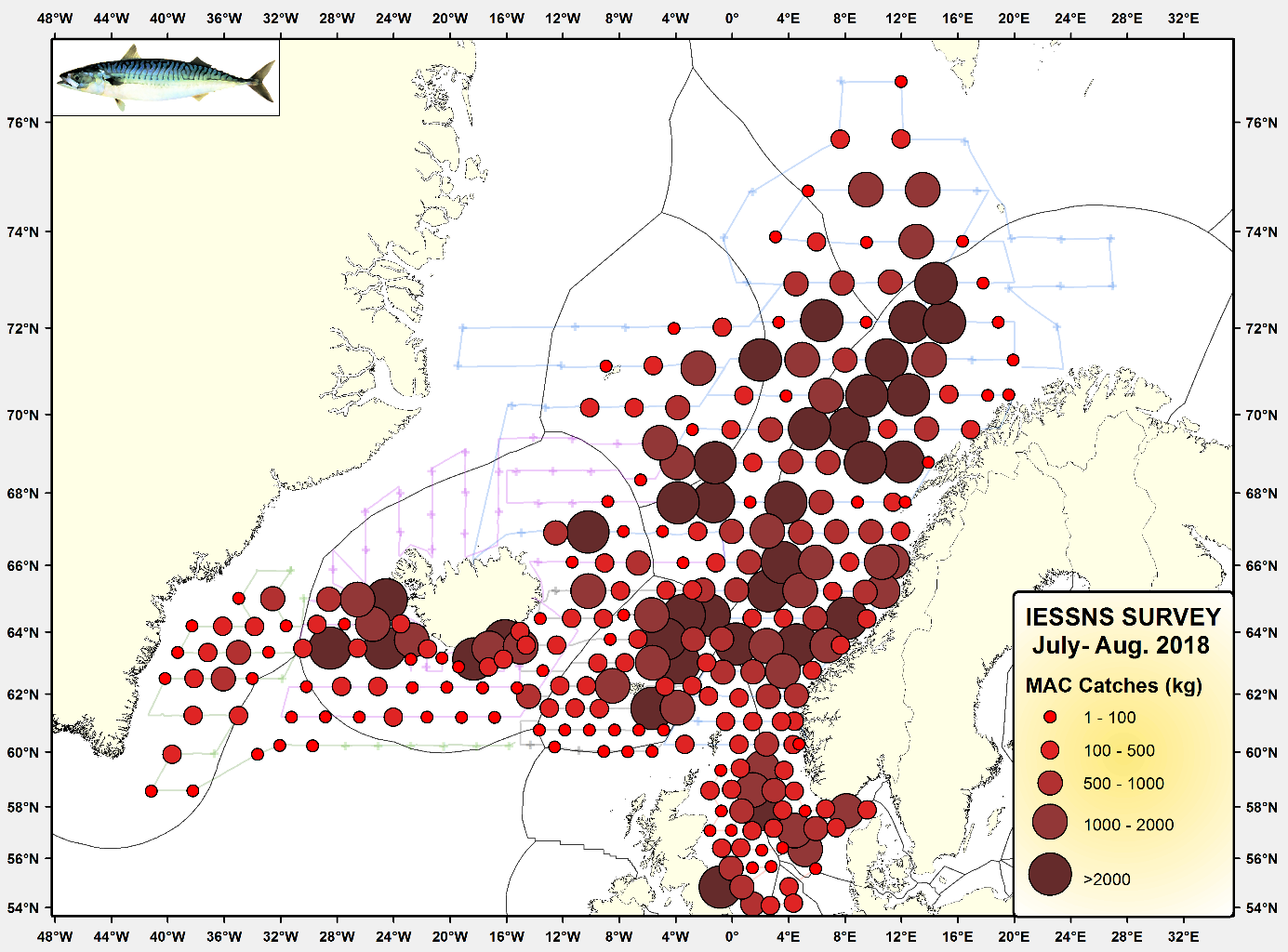 Mynd 1. Leiðangurslínur skipanna og magn makríls (kg) í yfirborðstogum í uppsjávarleiðangri sumarið 2018.