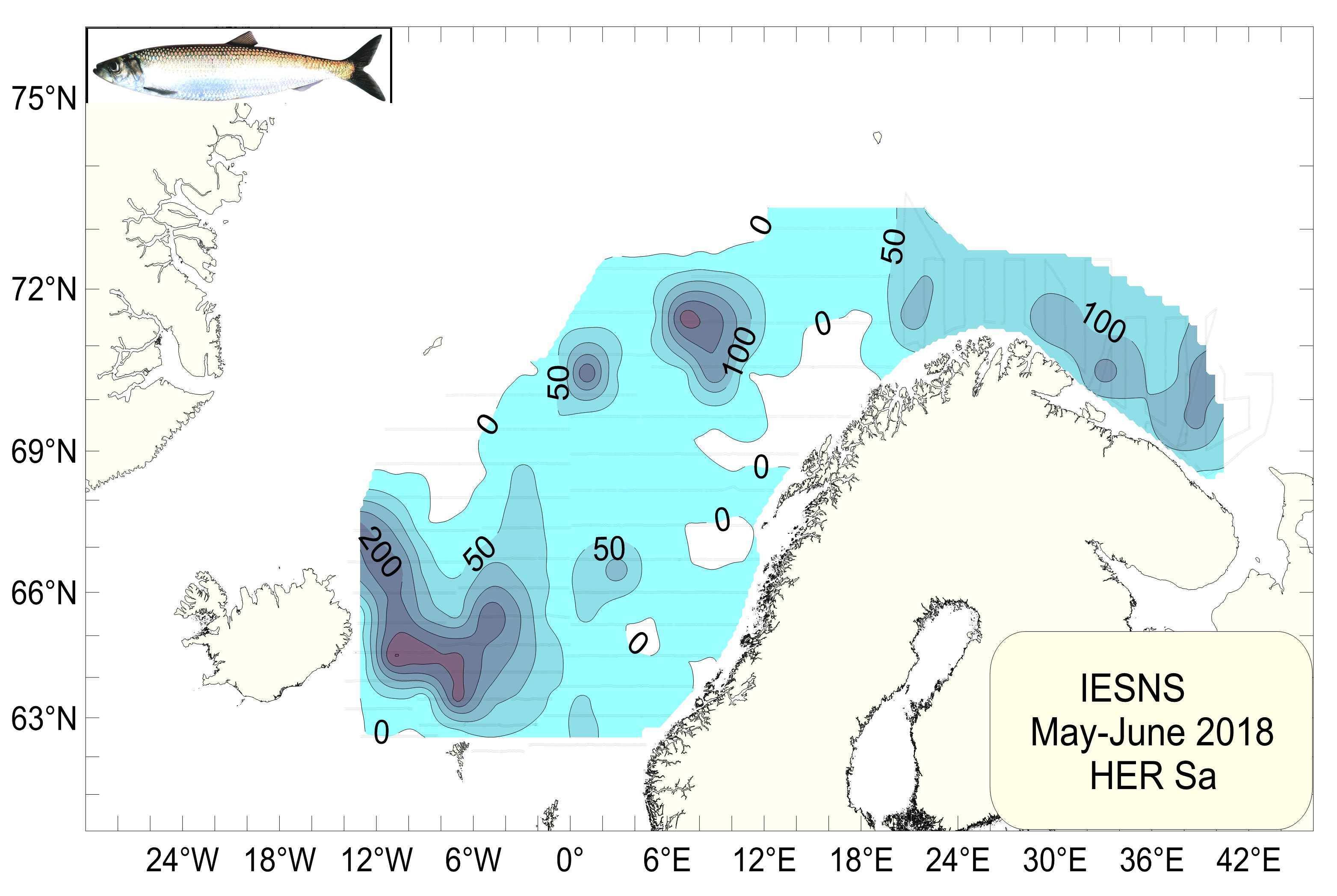 Mynd 1. Útbreiðsla og þéttleiki norsk-íslenskrar síldar í maí 2018. Leiðarlínur eru sýndar í bakgrunni. Mynd 1. Útbreiðsla og þéttleiki norsk-íslenskrar síldar í maí 2018. Leiðarlínur eru sýndar í bakgrunni.