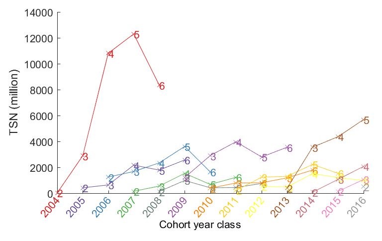 Mynd 3. Leiðangursvísitölur um fjölda eftir aldri (2-6 ára) hjá norsk-íslenskri síld þar sem þróun í hverjum árgangi er fylgt eftir (t.d. rauði liturinn sýnir fjölda eftir aldri í stóra árganginum frá 2004). Mynd 3. Leiðangursvísitölur um fjölda eftir aldri (2-6 ára) hjá norsk-íslenskri síld þar sem þróun í hverjum árgangi er fylgt eftir (t.d. rauði liturinn sýnir fjölda eftir aldri í stóra árganginum frá 2004).