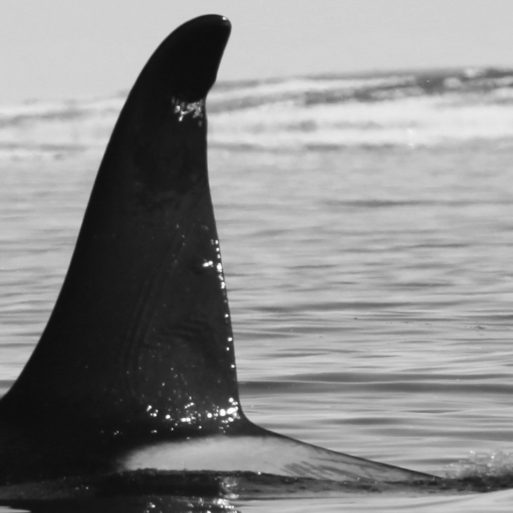 IS039 (Photo by Sara Tavares)