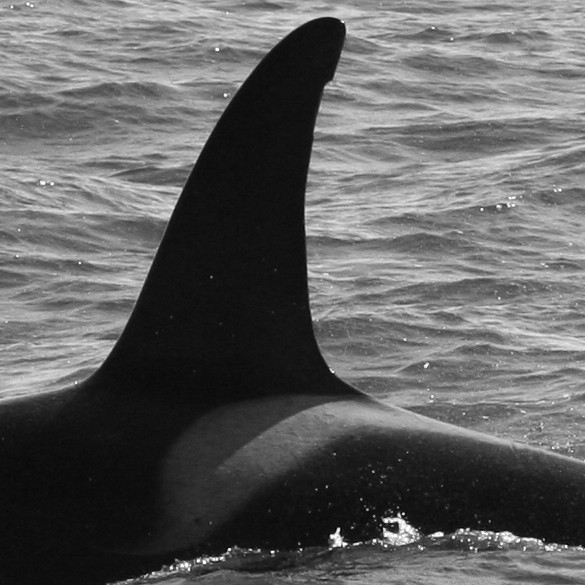 IS092 (Photo by Annika Firmenich)