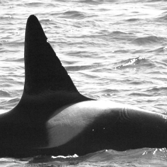 IS094 (Photo by Annika Firmenich)