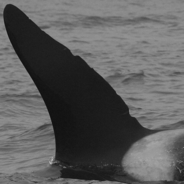 IS102 (Photo by Annika Firmenich)