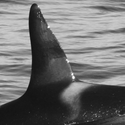 IS137 (Photo by Luisa Klotz)