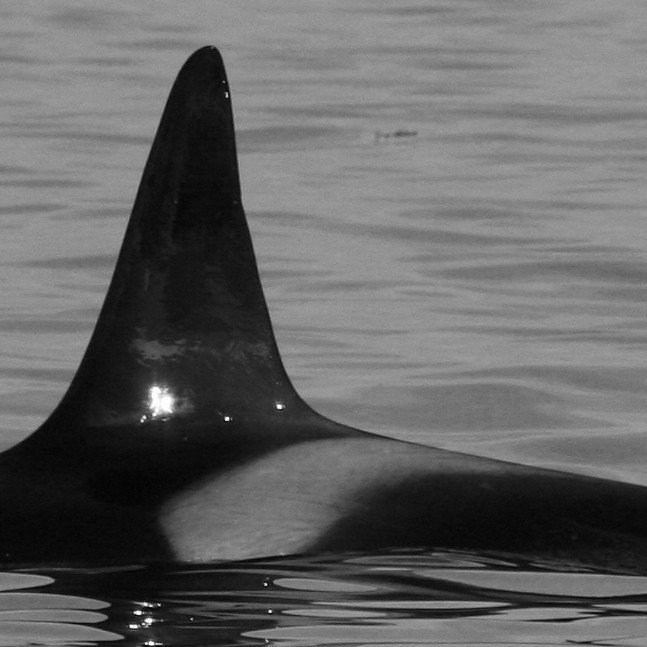 IS342 (Photo by Marjoleine Roos)