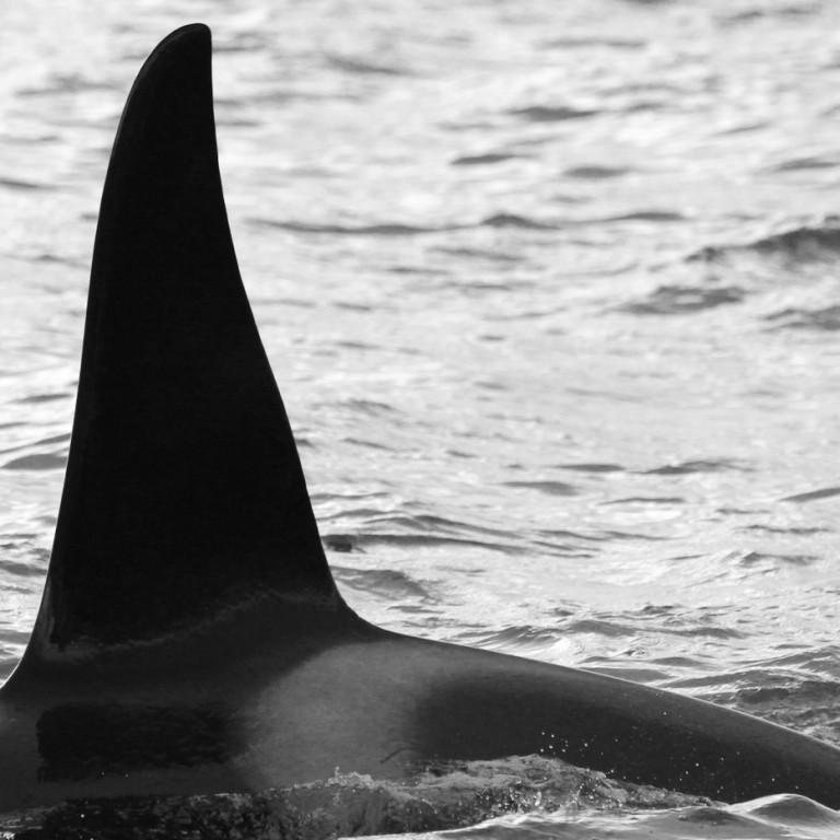 IS001 (Photo by Marjoleine Roos)