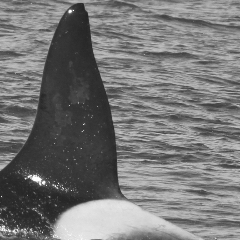 IS002 (Photo by Filipa Samarra)