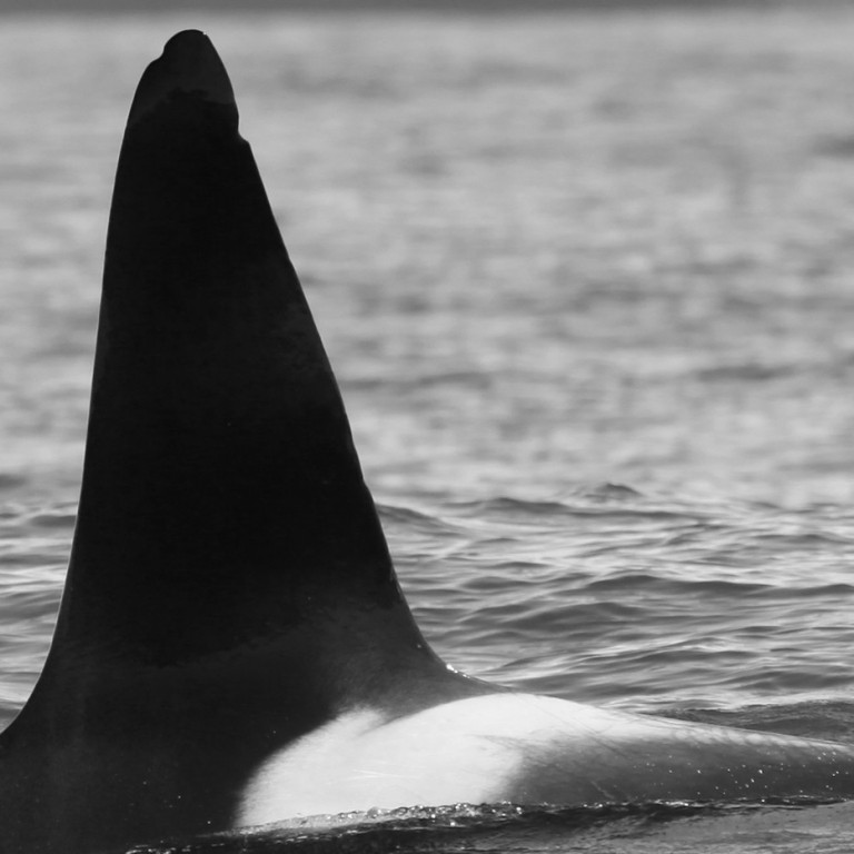 IS003 (Photo by Sara Tavares)