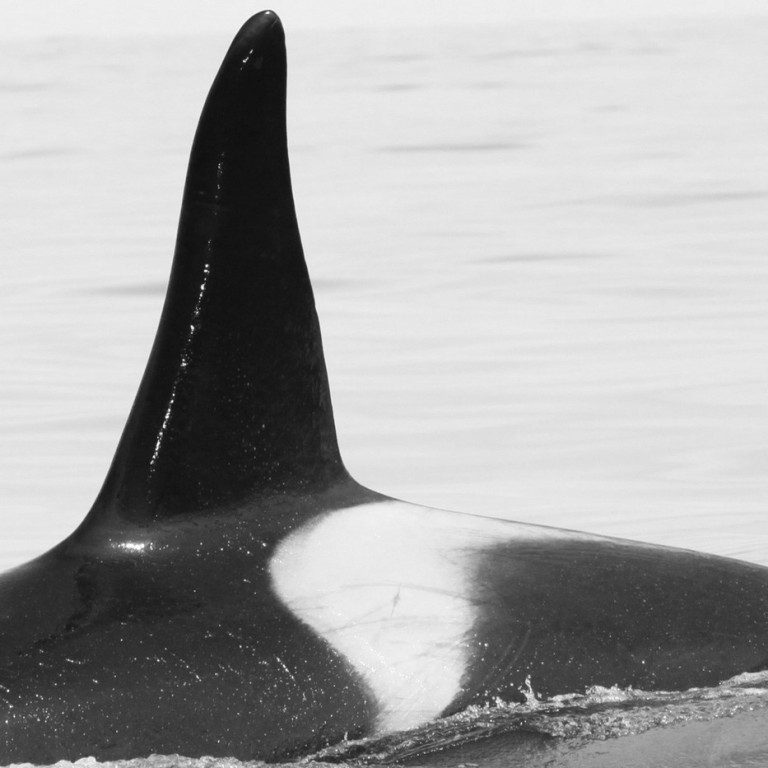 IS008 (Photo by Sara Tavares)