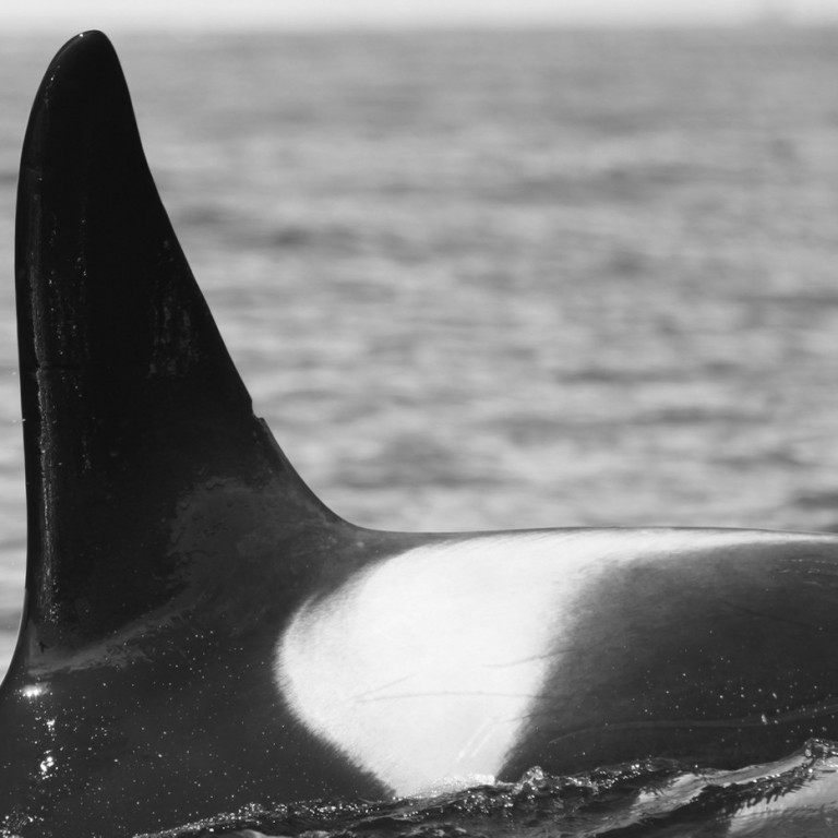 IS010 (Photo by Sara Tavares)