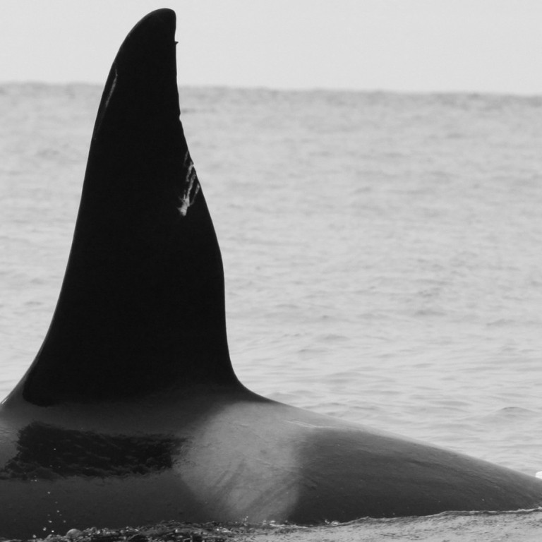 IS011 (Photo by Filipa Samarra)