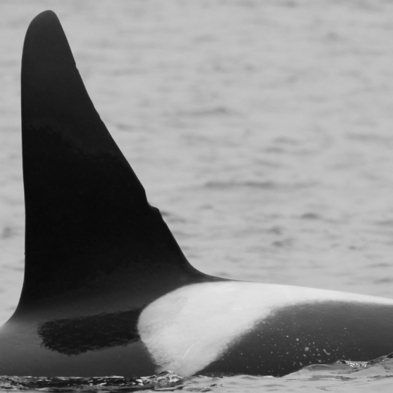 IS012 (Photo by Sara Tavares)