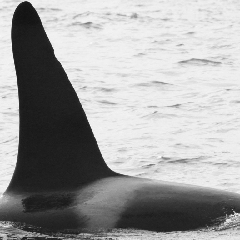 IS017 (Photo by Filipa Samarra)