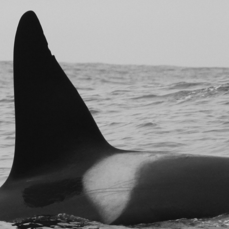 IS020 (Photo by Hannah Williams)