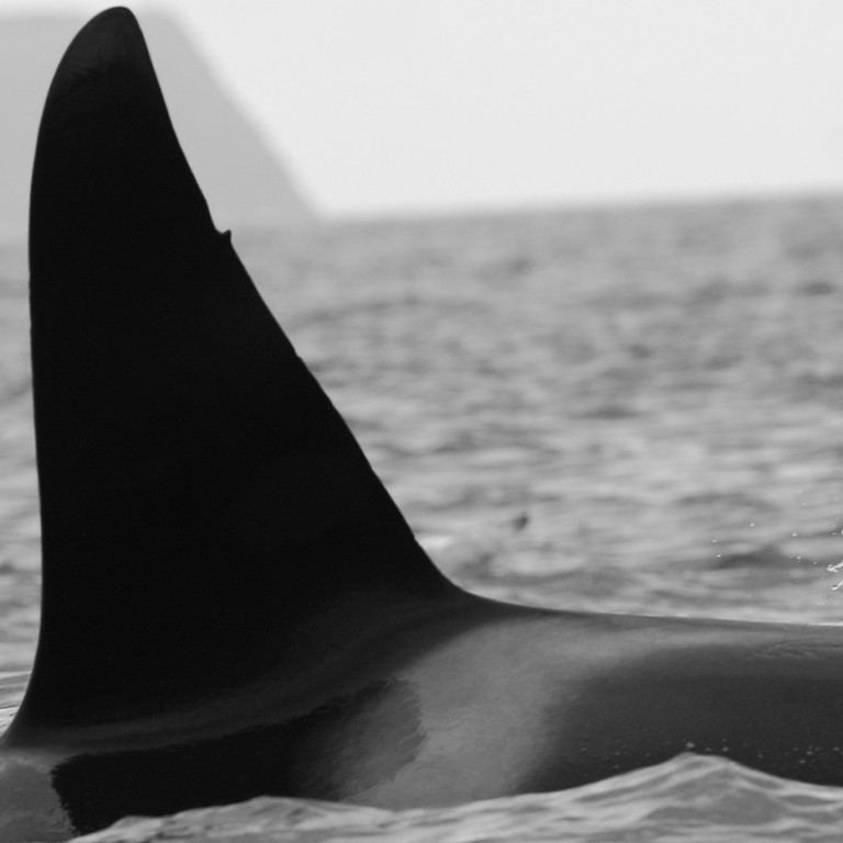 IS023 (Photo by Hajime Yoshino)