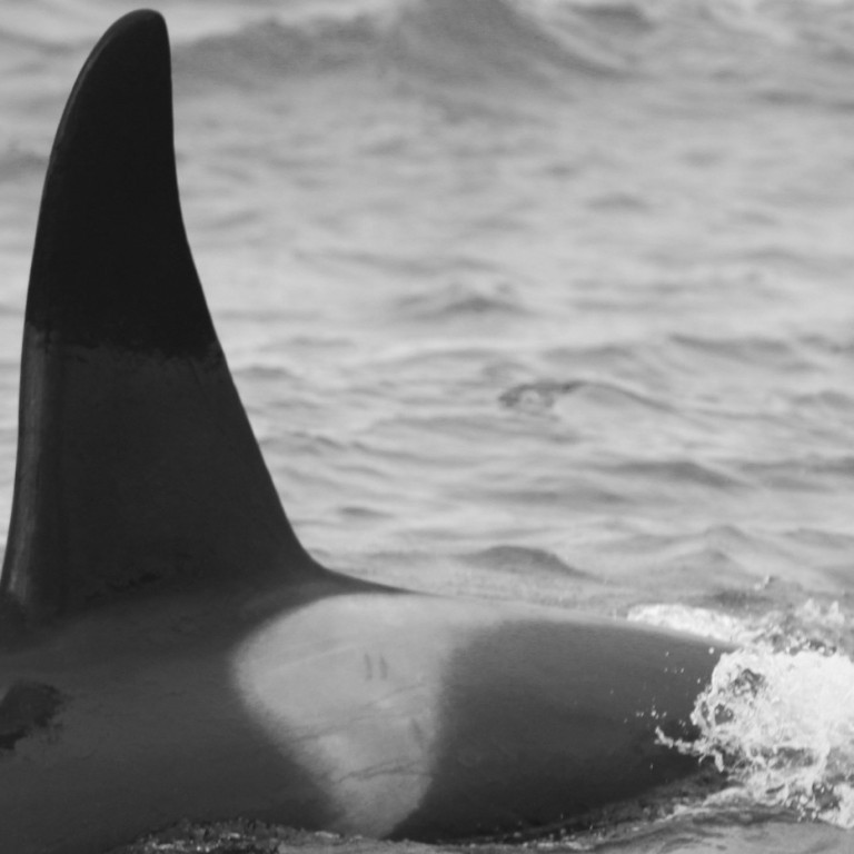 IS024 (Photo by Filipa Samarra)