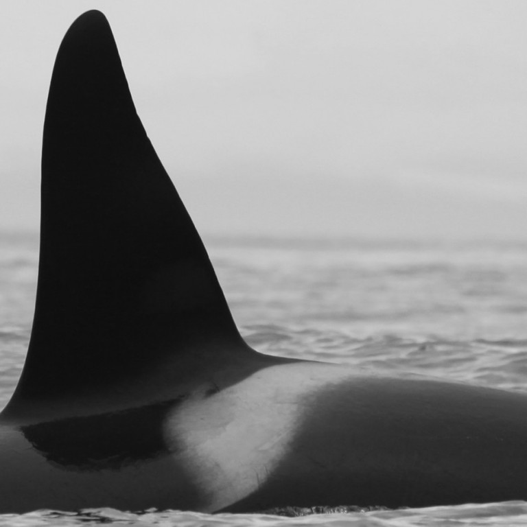 IS028 (Photo by Filipa Samarra)