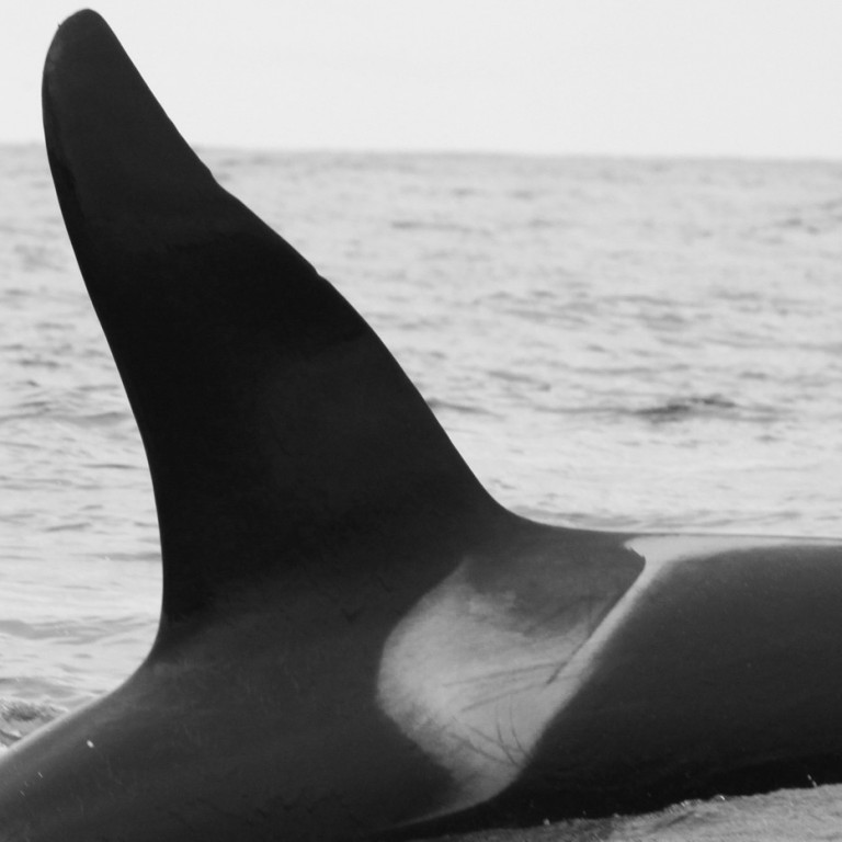 IS033 (Photo by Filipa Samarra)