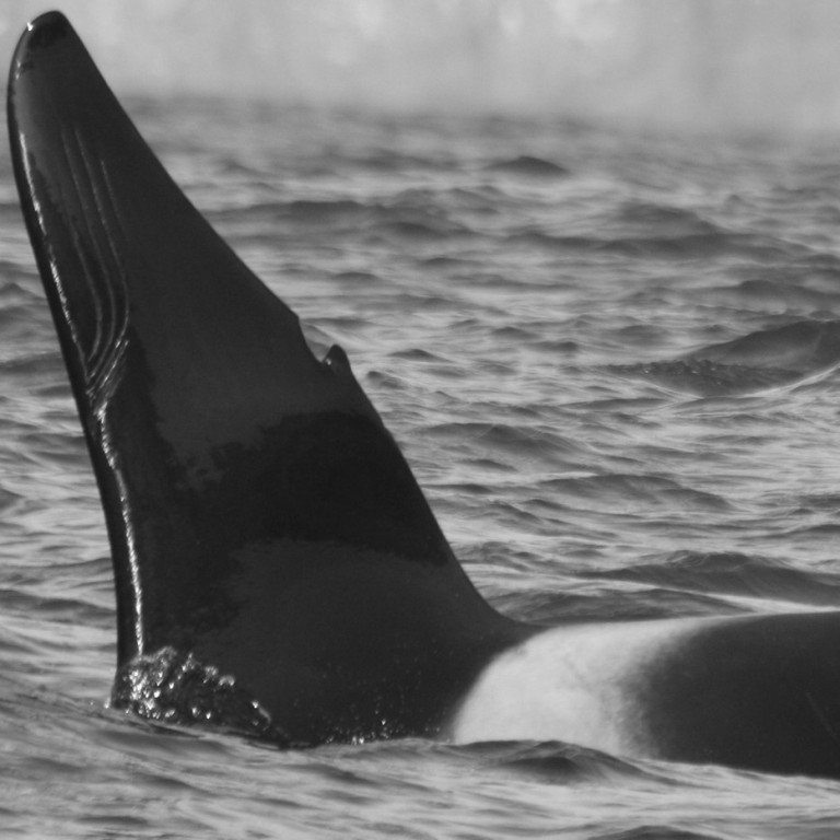 IS034 (Photo by Allan Ligon)