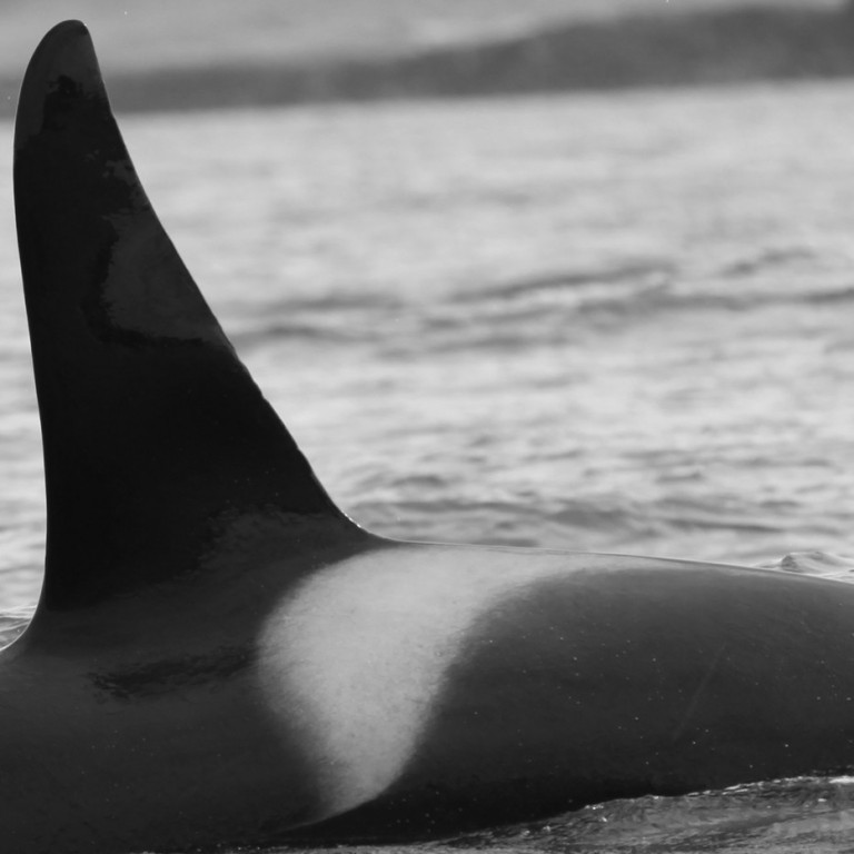 IS036 (Photo by Sara Tavares)