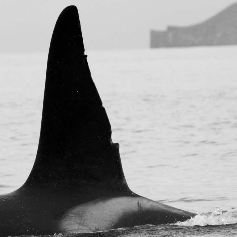 IS037 (Photo by Sara Tavares)