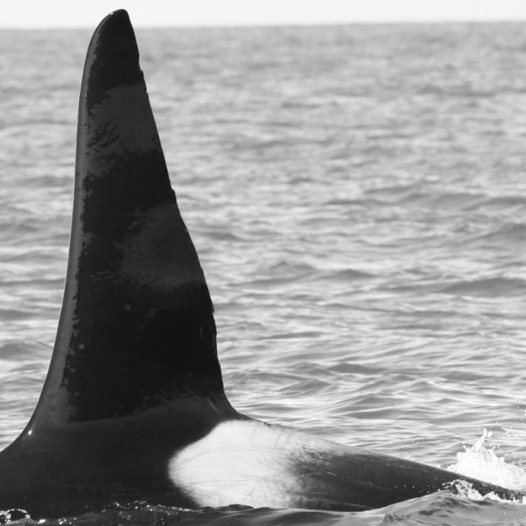 IS038 (Photo by Sara Tavares)