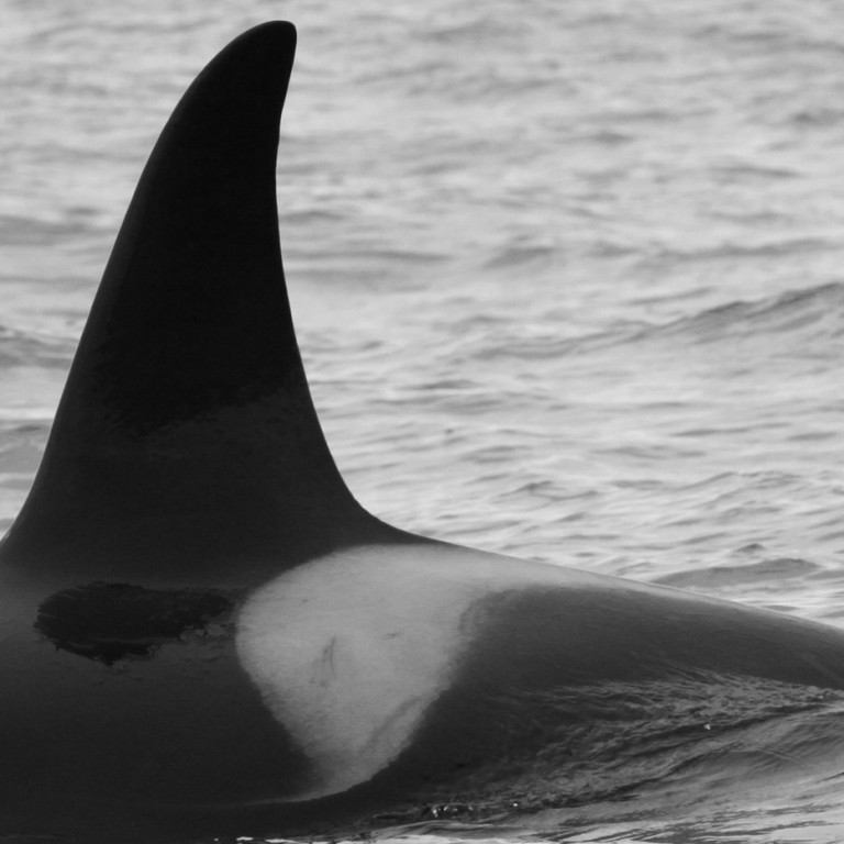 IS040 (Photo by Sara Tavares)