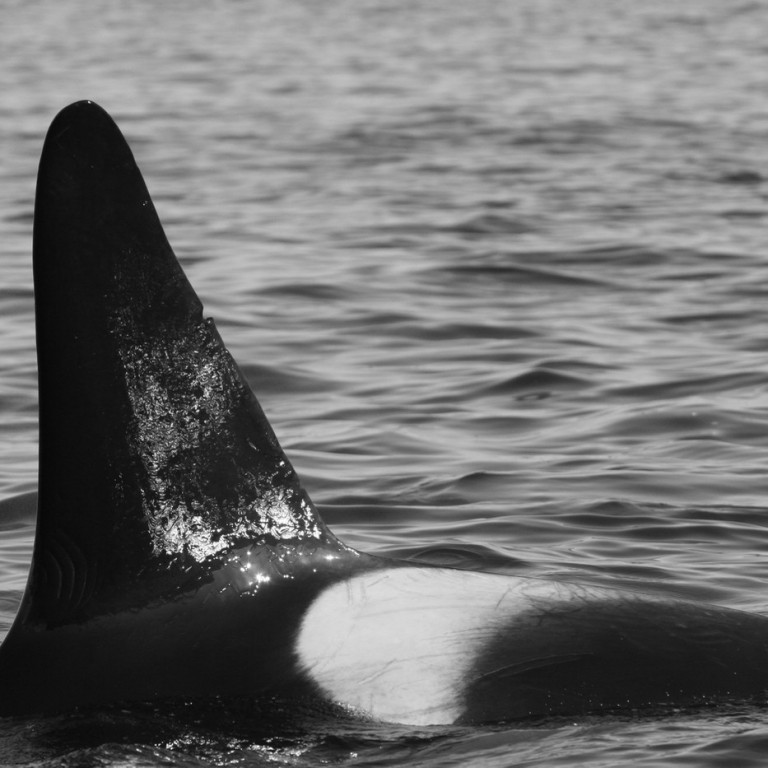 IS042 (Photo by Marjoleine Roos)