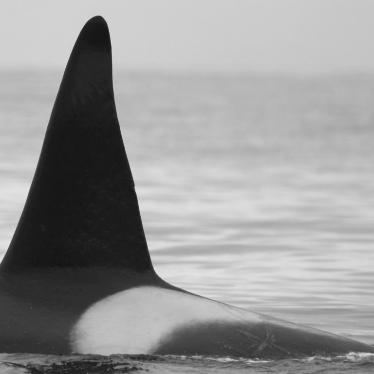 IS043 (Photo by Sara Tavares)