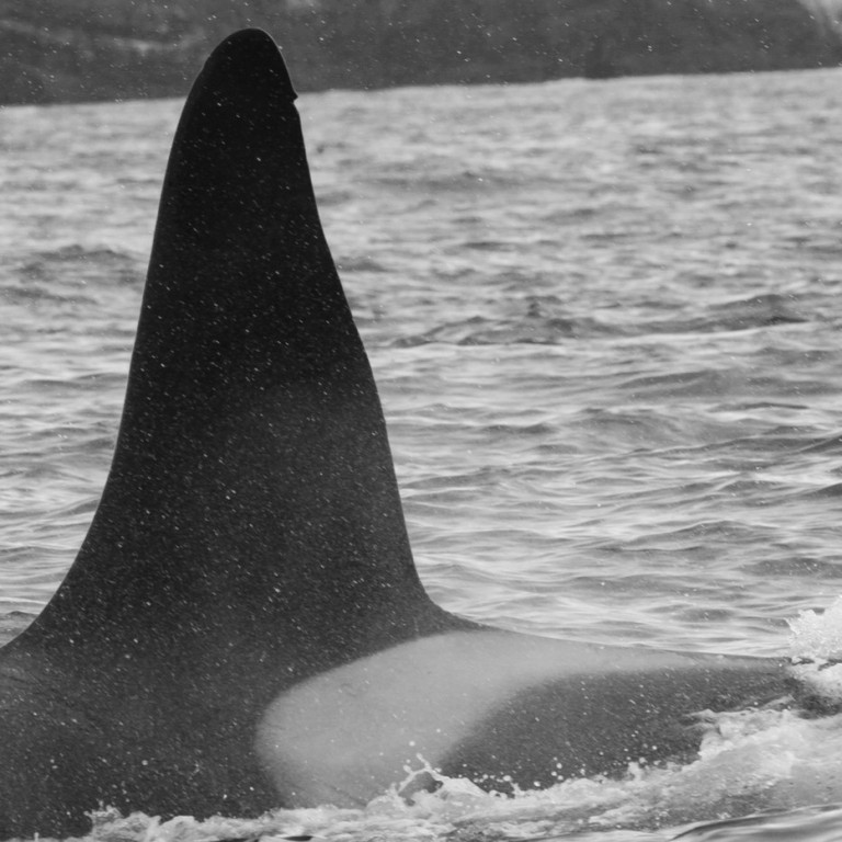 IS052 (Photo by Sara Tavares)