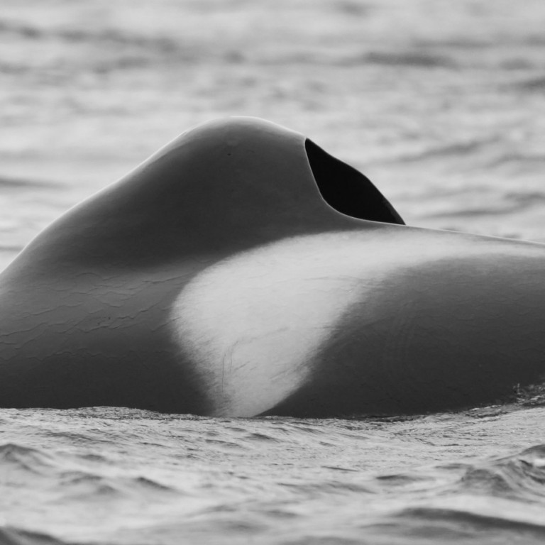 IS053 (Photo by Sara Tavares)