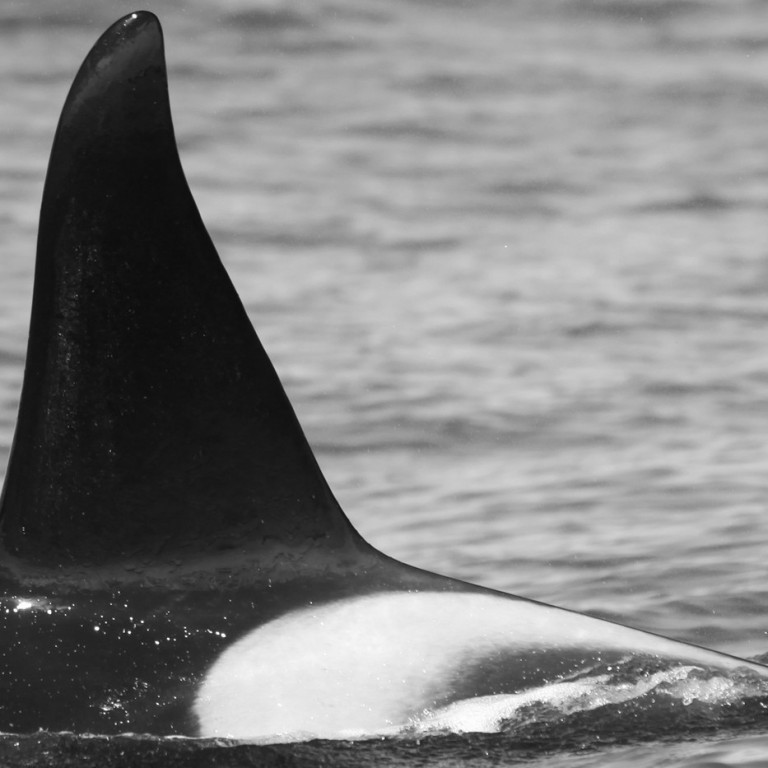 IS054 (Photo by Sara Tavares)