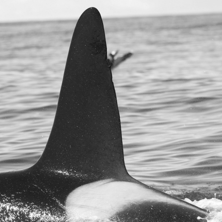 IS055 (Photo by Sara Tavares)