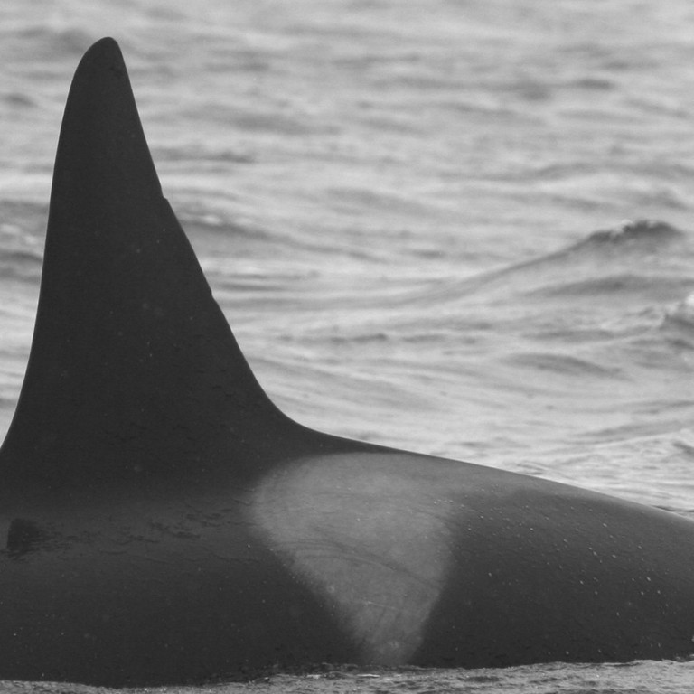 IS056 (Photo by Julie Béesau)