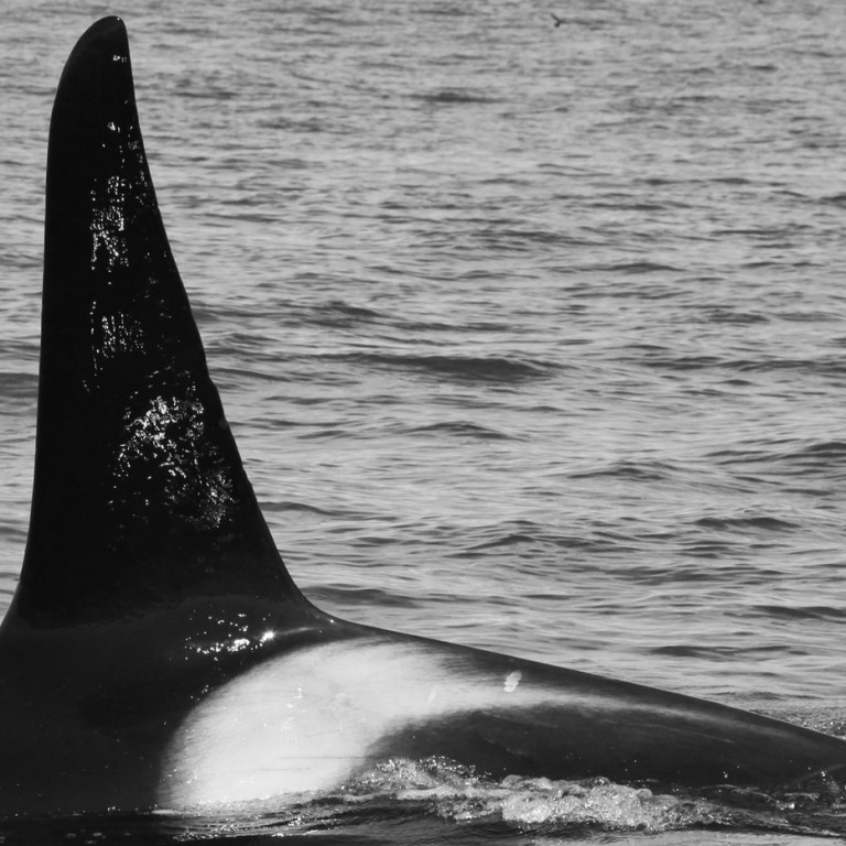 IS059 (Photo by Filipa Samarra)