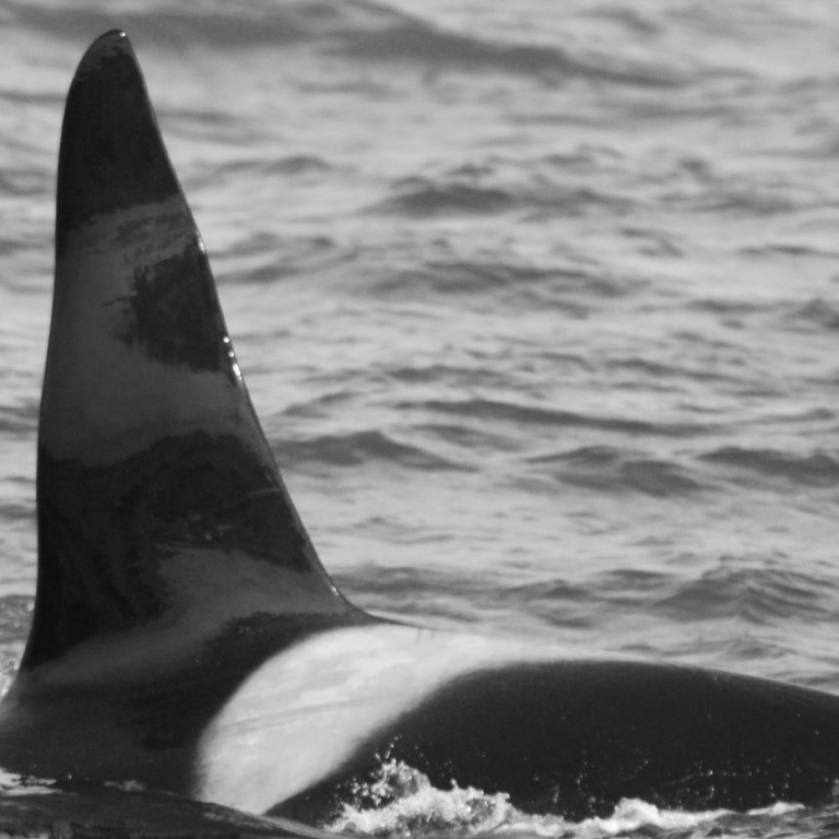 IS060 (Photo by Annika Firmenich)