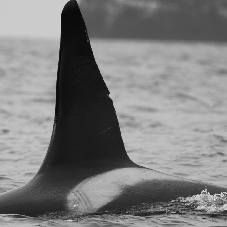 IS067 (Photo by Filipa Samarra)