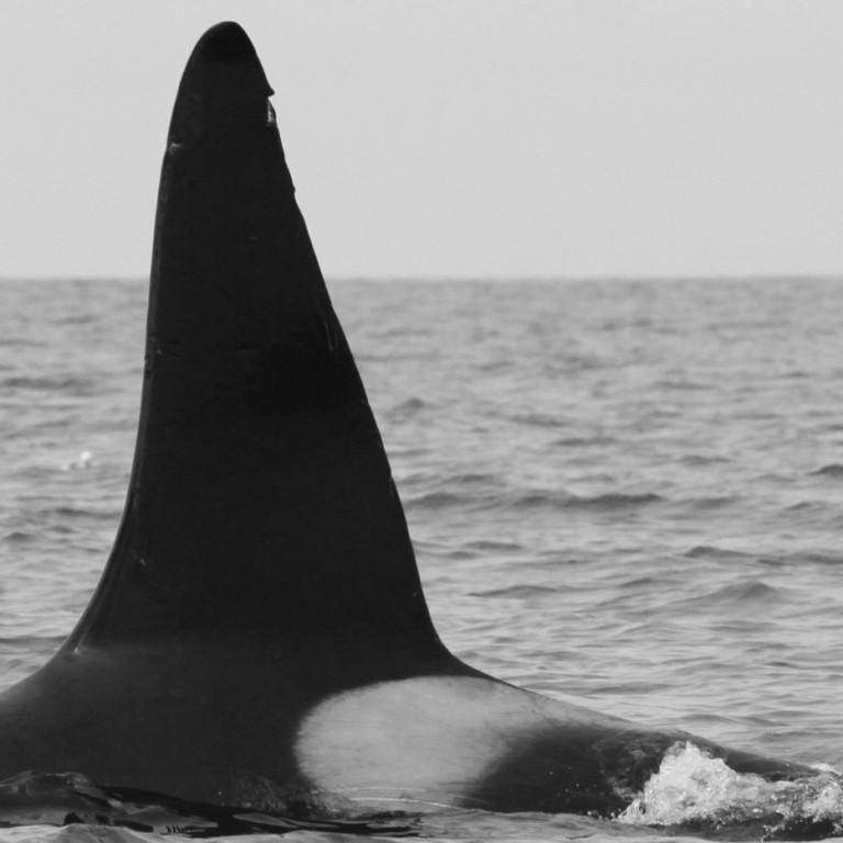 IS068 (Photo by Sara Tavares)