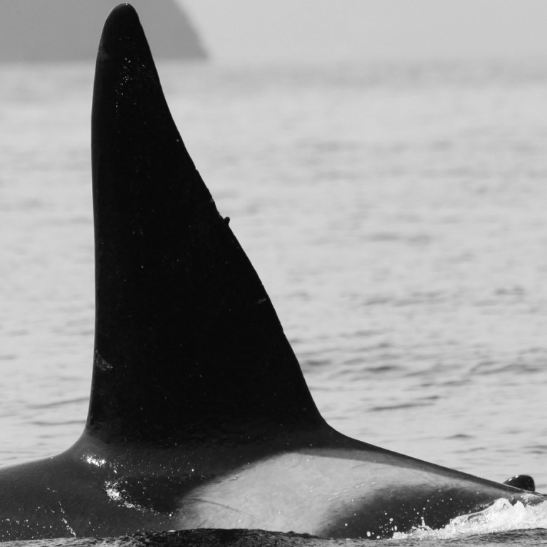 IS070 (Photo by Sara Tavares)