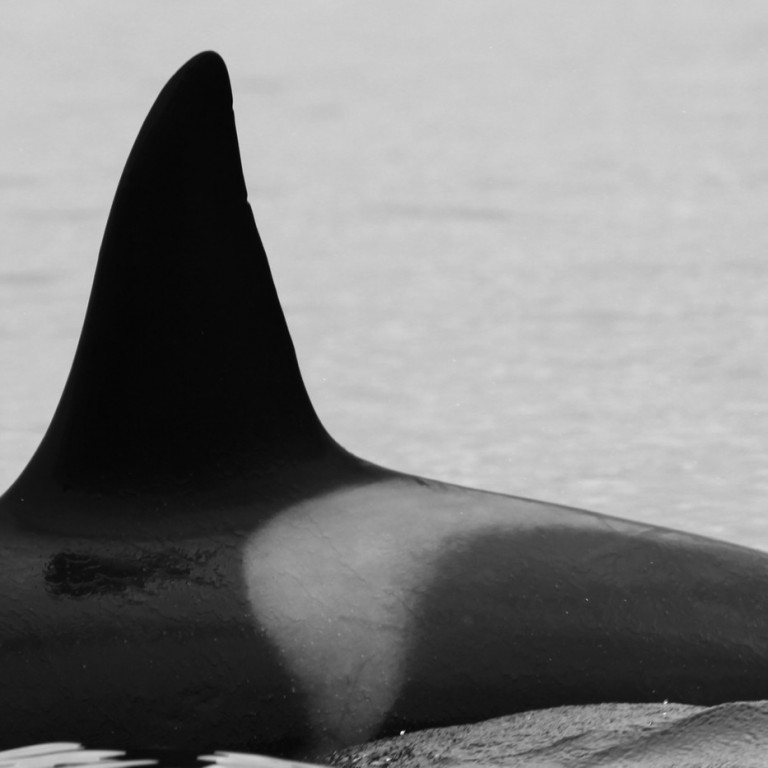 IS071 (Photo by Sara Tavares)