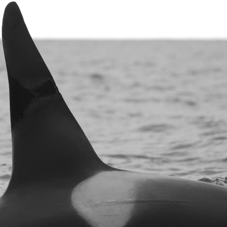 IS075 (Photo by Hajime Yoshino)