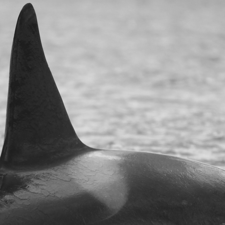 IS078 (Photo by Sara Tavares)