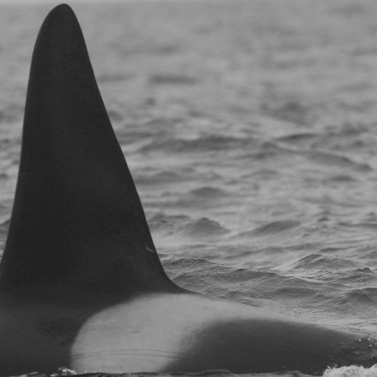 IS093 (Photo by Hajime Yoshino)