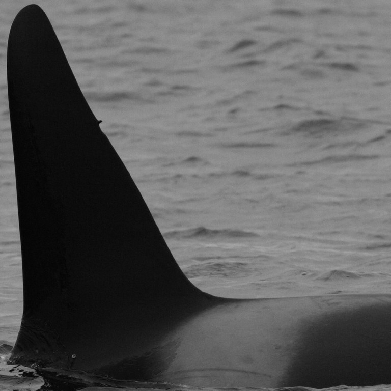 IS105 (Photo by Annika Firmenich)