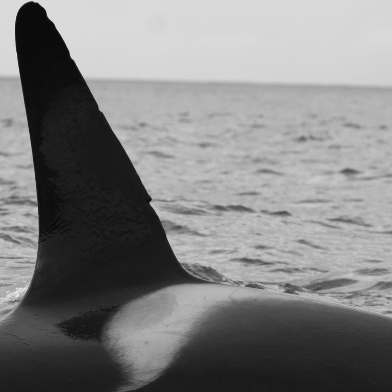 IS115 (Photo by Filipa Samarra)