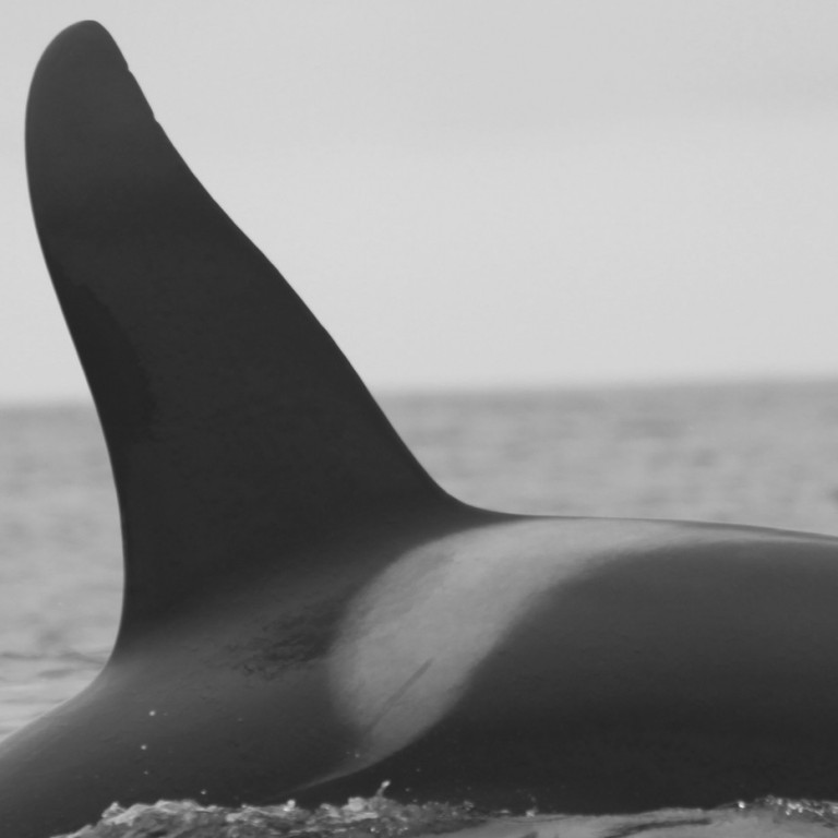 IS117 (Photo by Sara Tavares)